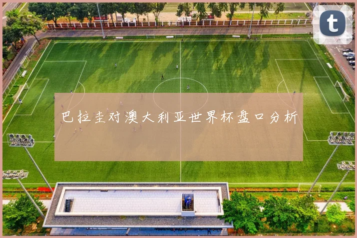 巴拉圭对澳大利亚世界杯盘口分析