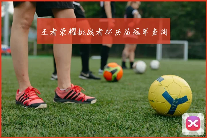 王者荣耀挑战者杯历届冠军查询