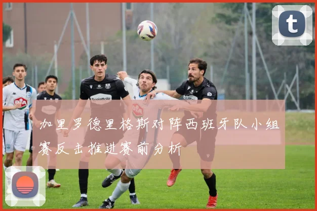 加里罗德里格斯对阵西班牙队小组赛反击推进赛前分析