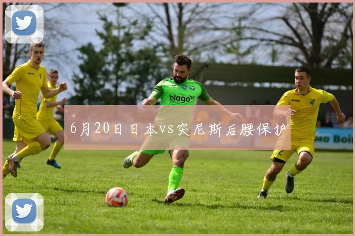 6月20日日本vs突尼斯后腰保护