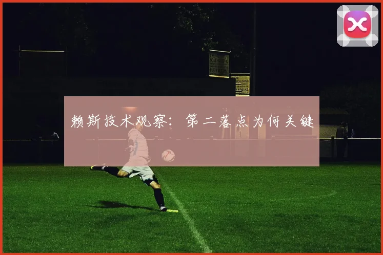 赖斯技术观察：第二落点为何关键