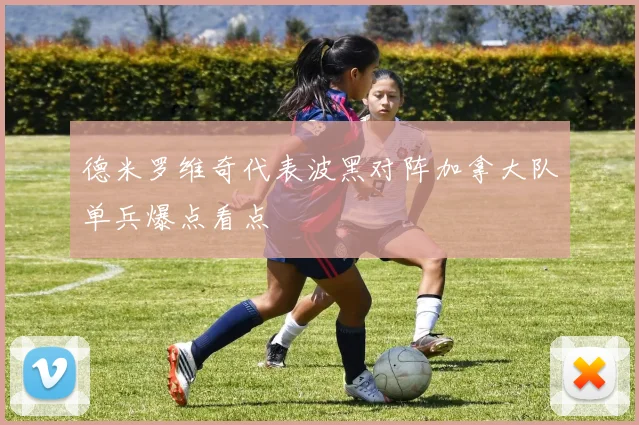 德米罗维奇代表波黑对阵加拿大队单兵爆点看点